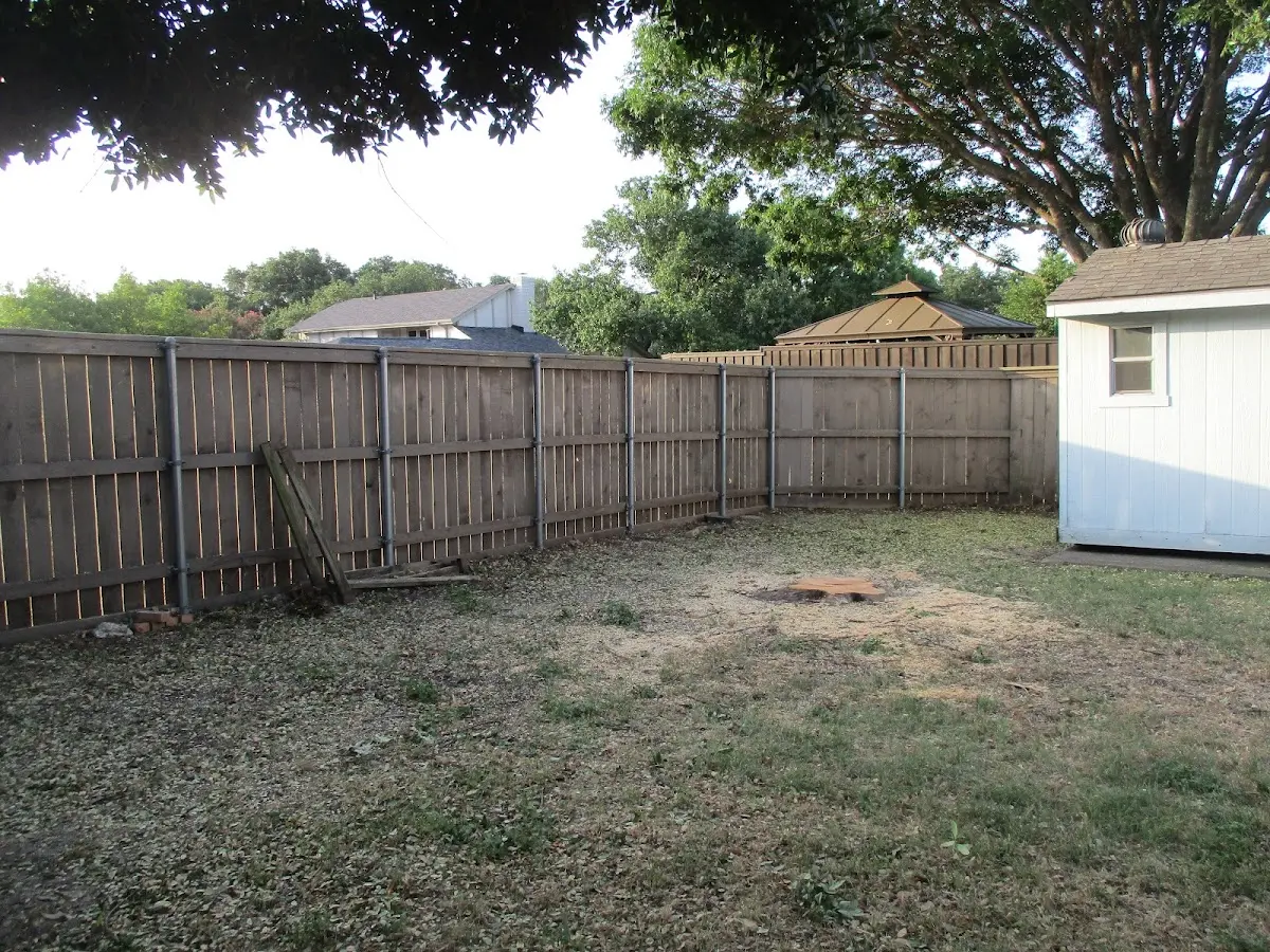 Cleared yard after professional tree removal in Brentwood